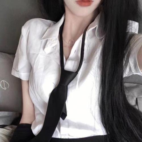 如果历史是一群喵宋辽金夏篇